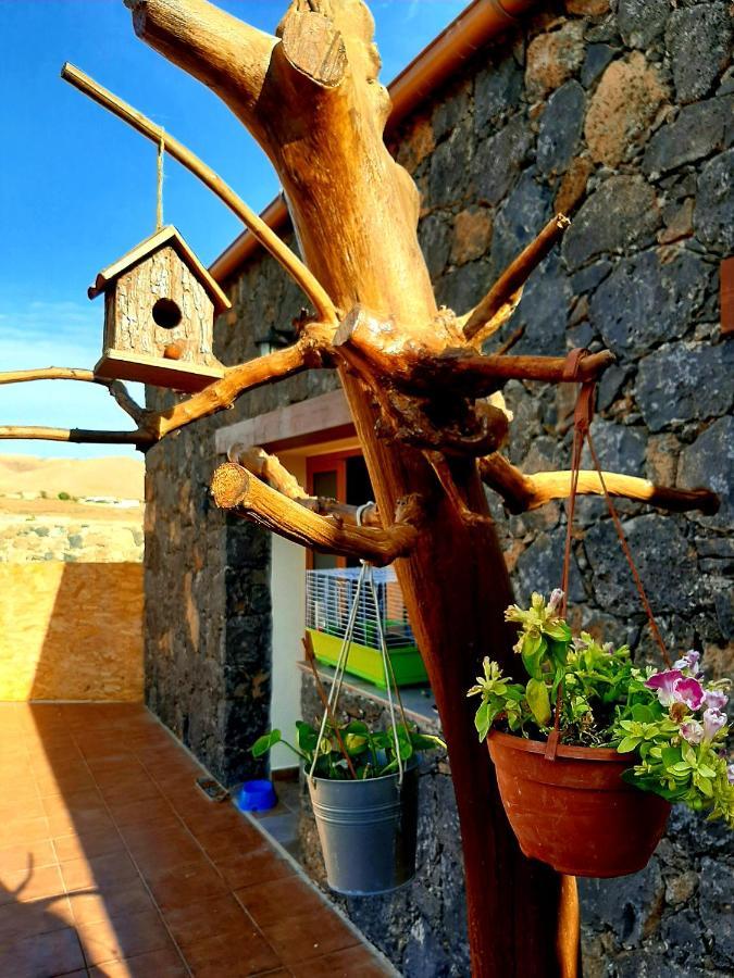 Agriturismo El Bounty1 Пуэрто-дель-Росарио Экстерьер фото